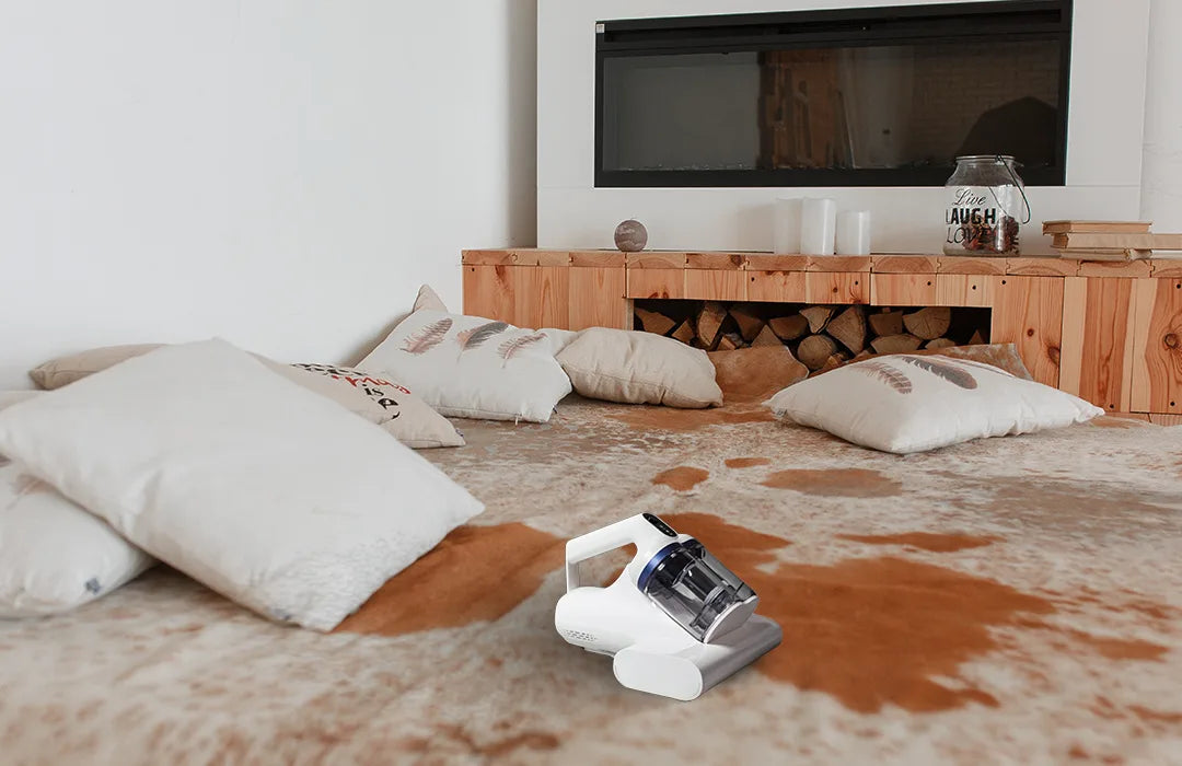 4 Reasons to Use a Mite Vacuum for Sofas and Mattresses | Robolta
