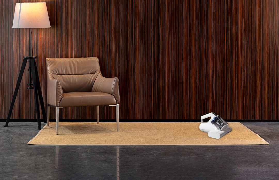 Why Mite Vacuums Are the Future of Healthy Homes?