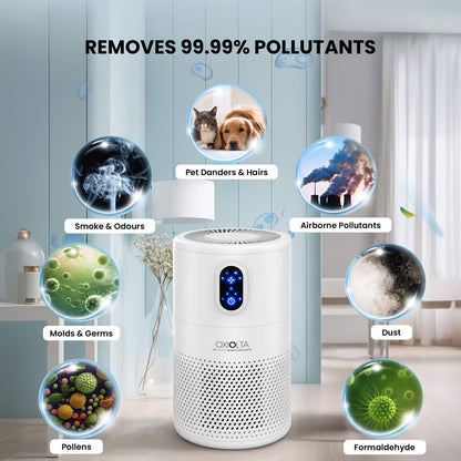 ROBOLTA OXIOLTA - PURE MINI SMALL IN SIZE. BIG ON PURIFICATION
